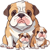 Famille de bouledogue anglais