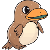 Ornithorynque