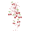 Cherries,Family,Cherries Family, Hearts
