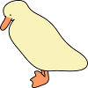 duck 5
