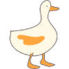 duck 4