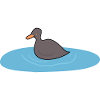 Oiseau canard 2