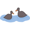 Ducks swimming in pond