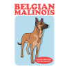 Belgian Shepherd Malinois Dog Gift