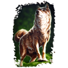 Wolf sublime