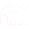 Anti-Zoo Four White