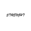 Strenght T-Shirt/Pullover etc.