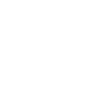 Ostfriesland Möwe