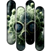 Bug