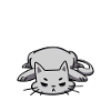 Pâtes Chats Et Siestes 4