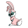 Cute Cartoon Bunny