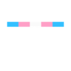 Transgenre Trans LGBTQ