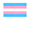 Transgender Trans LGBTQ