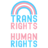 Transgender Trans LGBTQ