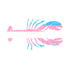 Transgenre Trans LGBTQ