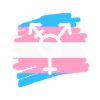 Transgenre Trans LGBTQ
