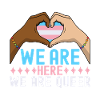 Transgender Trans LGBTQ