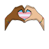 Transgender Trans LGBTQ