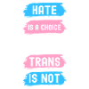 Transgender Trans LGBTQ