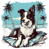 Border-collie la plage