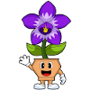 Funny Orchid