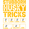 Stubborn Husky Tricks