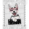 Husky Stalker Funny Saying