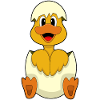 Duck egg