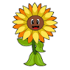 Sunflower Flowers