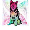 Husky