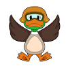 Duck Fly Helmet