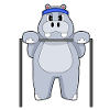 Hippo Bodybuilding Pull-ups