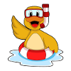 Duck swimming lifebuoy