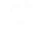 Porträt eines T-Rex-Dinosauriers