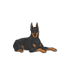 Doberman Pinscher Dog Dobie