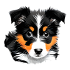 Dog Owner Australian Shepherd Puppy