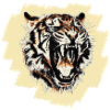 Motif tigre cool sur fond
