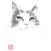 cat face