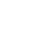 0 pour cent végétalien