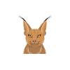 Big Floppa Caracal Cat Meme
