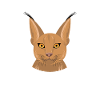 Big Floppa Caracal Cat Meme
