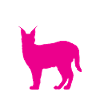 Big Floppa Caracal Cat Meme