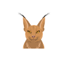 Big Floppa Caracal Cat Meme