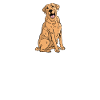 Labrador Lover Gifts