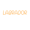 Labrador Lover Gifts