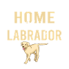 Labrador Lover Gifts