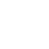 Viseu