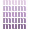 Mum Purple
