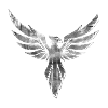 Phénix,Oiseau,Graffiti,Argent