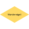 Wandervögeli